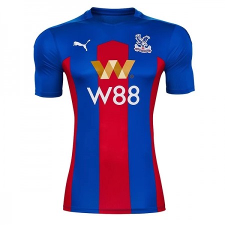 Goedkope Crystal Palace Thuisshirt 2020-21